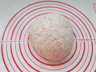 7、鸡内金焦馍（驻马店传统美食）,把面团揉光滑。