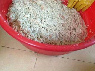 6、潮汕冬至过年美食之【菜头圆】, 分次倒入番薯粉【大约三斤菜头配一斤薯粉 】和适量的自己喜欢的佐料。 用手“撮合”白萝卜、花生、盐巴和薯粉,使完全混合在一起