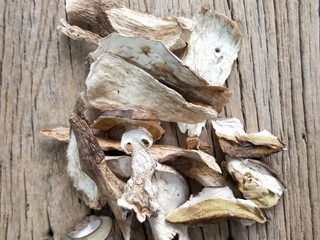 2、年年有余滋补牛肝菌鱼头汤,准备牛肝菌。