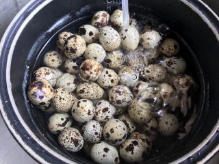 2、百变鸡蛋～啤酒卤蛋（迷你版）,煮好后倒掉热水，过2次凉水，以便不烫手又容易剥壳（热涨冷缩嘛）????