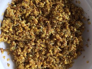 4、桂花蜜,洗完后的桂花加入少许盐腌10分钟，腌出桂花中的苦味