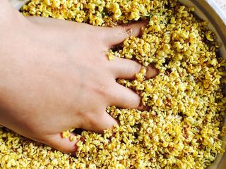 5、桂花蜜,腌完后再清洗两遍以上，挤干桂花中的水分