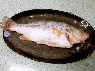 7、粤式清蒸鲈鱼,把鲈鱼放上去。