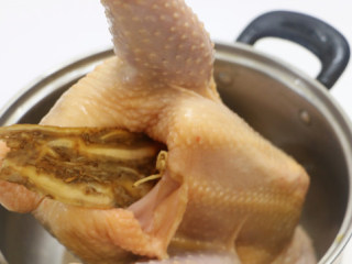 5、广式清蒸鸡,将党参和一片当归塞到鸡肚子里面