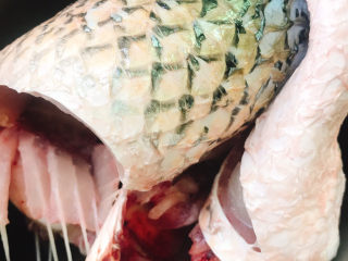 1、香辣草鱼,准备好草鱼