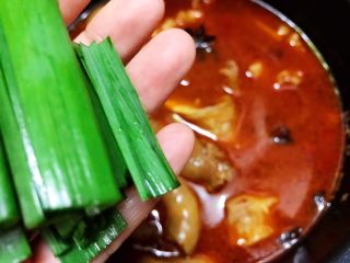 13、川香红烧牛筋牛肠,出锅前加入青蒜叶