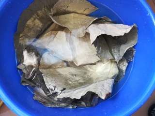 8、广式糯米鸡,荷叶用水冲洗几次后浸泡