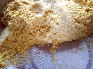 7、玉米花朵馒头,发酵好的面团全部是蜂窝眼，或者用手指摁一下面团，不回缩即为发酵完成，揉圆，松弛10分钟。