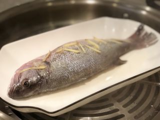13、椒香葱油鲈鱼,蒸锅大火煮开，放入鲈鱼
