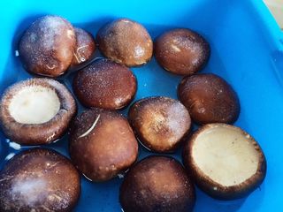 3、香菇酿肉,盆里放清水、香菇，撒上食用盐浸泡10分钟。