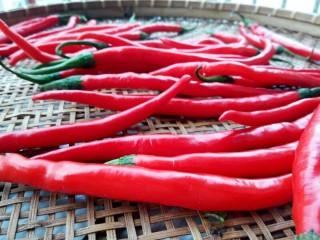 2、剁椒酱,放通风的地方晾干水分，