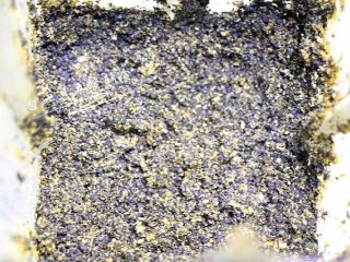 5、芝麻酱,打碎后。