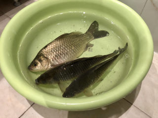 1、酱焖鲫鱼➕今年花胜去年红,二堂哥昨天钓的鲫鱼，送给阿晨家三条，是在我家附近汉江里钓的。