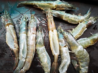 3、蒜蓉粉丝虾,去虾线并剪开虾背