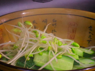 3、川妹子手把手教你做麻辣鲜香味美料足的水煮鱼,将豆芽和黄瓜摆入碗底