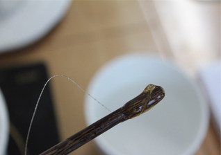 25、锦绣中华绣球塔,糖浆变硬，就是熬好了。