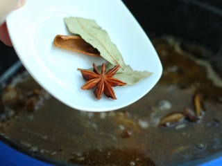 9、无肉不欢+牛肉烧土豆,添入足够的热水没过牛肉，再放入香叶、八角和桂皮，大火煮开后改小火炖煮一个小时左右