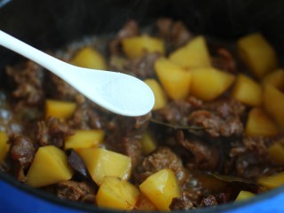 11、无肉不欢+牛肉烧土豆,调入适量的盐和鸡精翻炒均匀