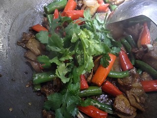 8、虎皮椒香小炒肉,最后放入香菜，关火，翻炒下。