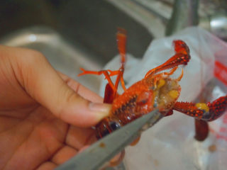 3、爆炒小龙虾,用剪刀将小龙虾的头剪掉，要小心千万不要被小龙虾夹到哦