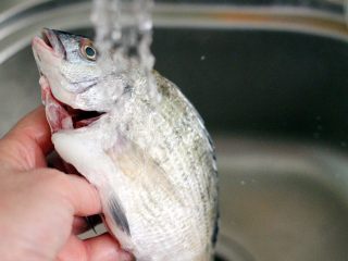 3、蔬菜海杂拌火锅????,我今天用的是海浮鱼、鱼质鲜嫩爽滑细腻营养丰富、掏出五脏后用清水冲洗干净……