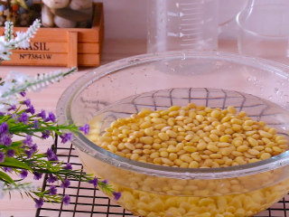 1、黄豆烧猪蹄,黄豆用清水浸泡四小时左右泡发