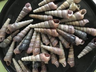4、辣炒钉螺：海边男人最爱的下酒菜,全部去掉底部的钉螺