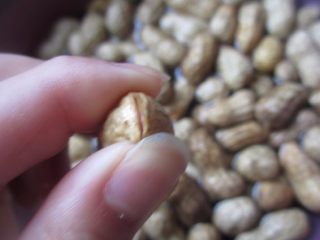 4、水煮花生,用手把洗干净的花生每个捏开口，这样方便入味