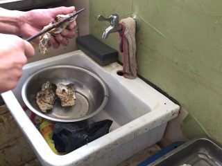 1、蒜蓉生蚝,市场买的生蚝让他们撬开。