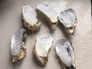 7、蒜蓉生蚝,粉丝打结放在生蚝壳里。