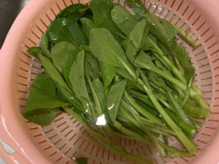 1、10分钟早餐面,菜心洗干净沥干水待用