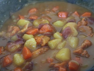 17、骨肉相连咖喱土豆,最后炖大约二十分钟，收汁即可