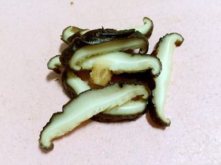 2、腊肠煲仔饭,香菇切片备用。