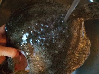 2、清蒸多宝鱼,多宝鱼内外流水冲洗几次。