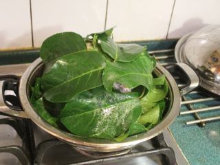 10、茄苳蒜头鸡,鸡身上上面再覆上一些茄苳叶。