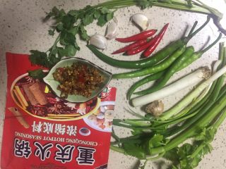 1、麻辣火锅鲜鱼,准备所需食材,可任意用重庆任何品牌的火锅底料
