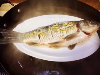 6、麻辣火锅鲜鱼,锅里加水,鱼身上放上适量的姜末和大葱丝,入锅里蒸,上气后需大火蒸12分钟