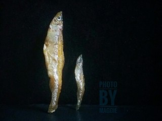 3、香辣下饭菜～客家小炒鱼干,当然还有更小的，没有对比没有伤害????哈哈都一样好吃。