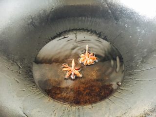 12、#咸味#  家乡特色茄子饭,放入八角，煸炒出香味。