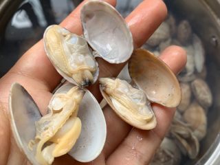4、辣炒花蛤,沙子清洗干净，沥干水份