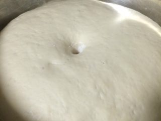 5、美味羊肉包子,面盆盖上保鲜膜，放在温暖地方发酵至2.5倍大，可以在盆下面放一盆温热一点的水，发酵快，手指沾面粉戳面团中间，洞口周围不回缩就发好了