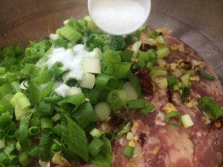 9、美味羊肉包子,加入精盐，1勺零一点，我家1小勺大约6g，加了差不多8g多，盐根据自己口味可以适当加减，我这个刚刚好适合我的口味