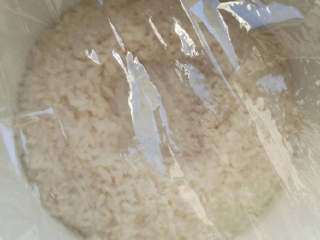 3、醪糟小汤圆,封第一层保鲜膜,它也可以成为之后的观察窗口