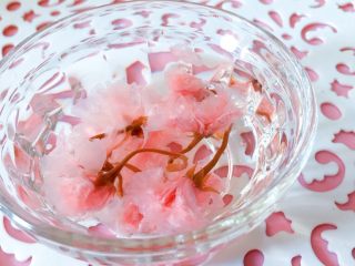 3、佳儿的水信玄饼●少女心怦怦滴,其中值得特别一提的是,盐津樱花要反复冲水4-6次,因为她的外面有很多盐,如果不洗掉,可是很咸的哦。切记哦!仙女们。