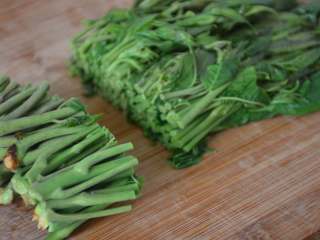 13、香椿拌豆腐,切去老根。