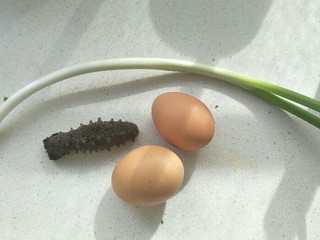1、海参蒸蛋,准备食材:高压海参一个，鸡蛋两个，葱一根。
