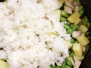 11、土豆焖饭,倒入电饭锅中，将米饭铺在上面