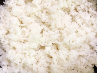 12、土豆焖饭,满满一层，按下煮饭键