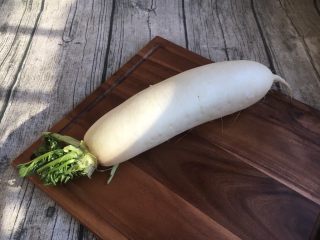 4、#感恩节食谱# 锅仔萝卜羊排,准备白萝卜一棵。