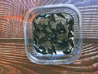 2、芦笋木耳炒鸡蛋,木耳加水泡发。